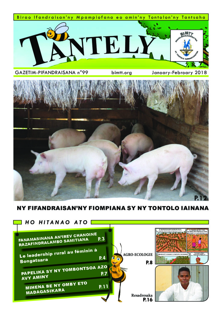 Tantely N°99