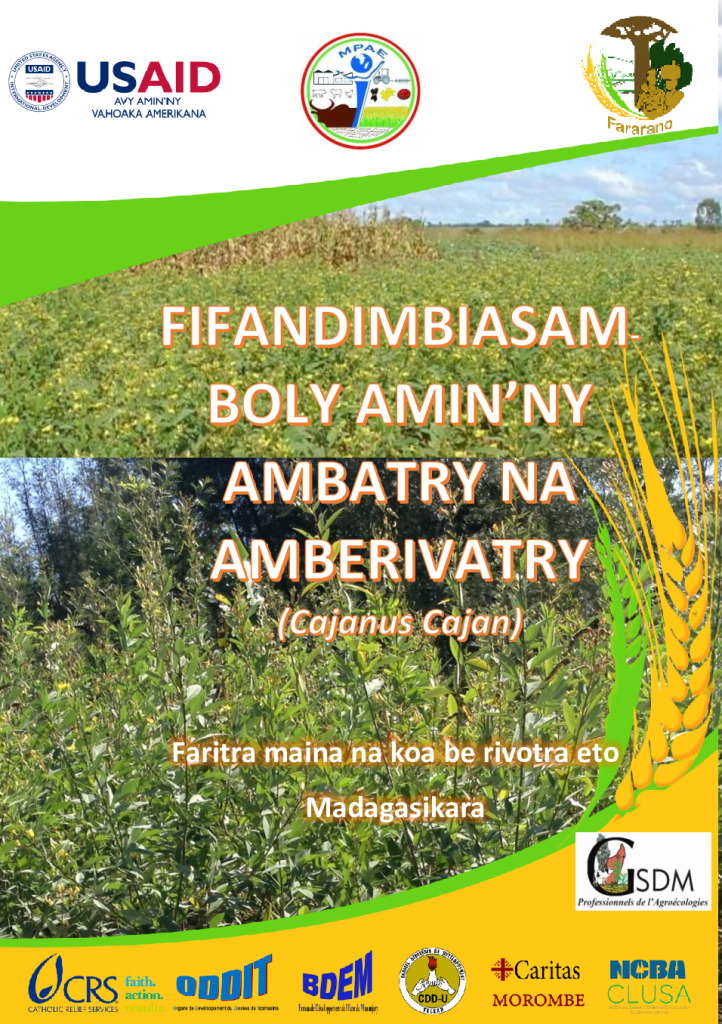 Voly Cajanus na Ambatry 12 01 2018 (1)