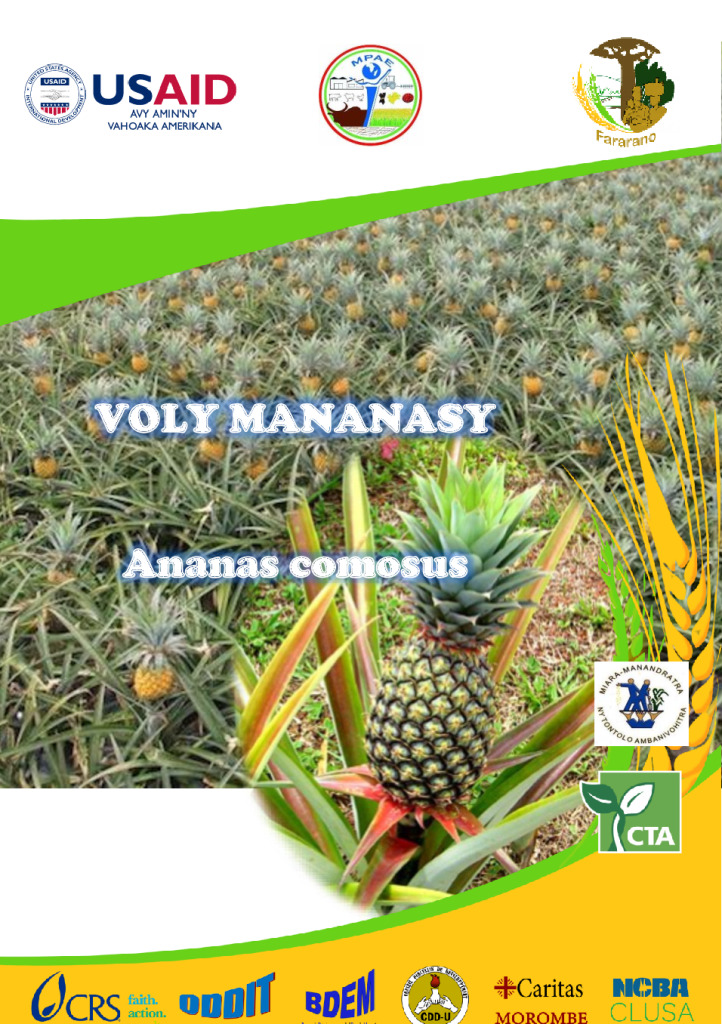 Voly Mananasy_Fiche technique OK