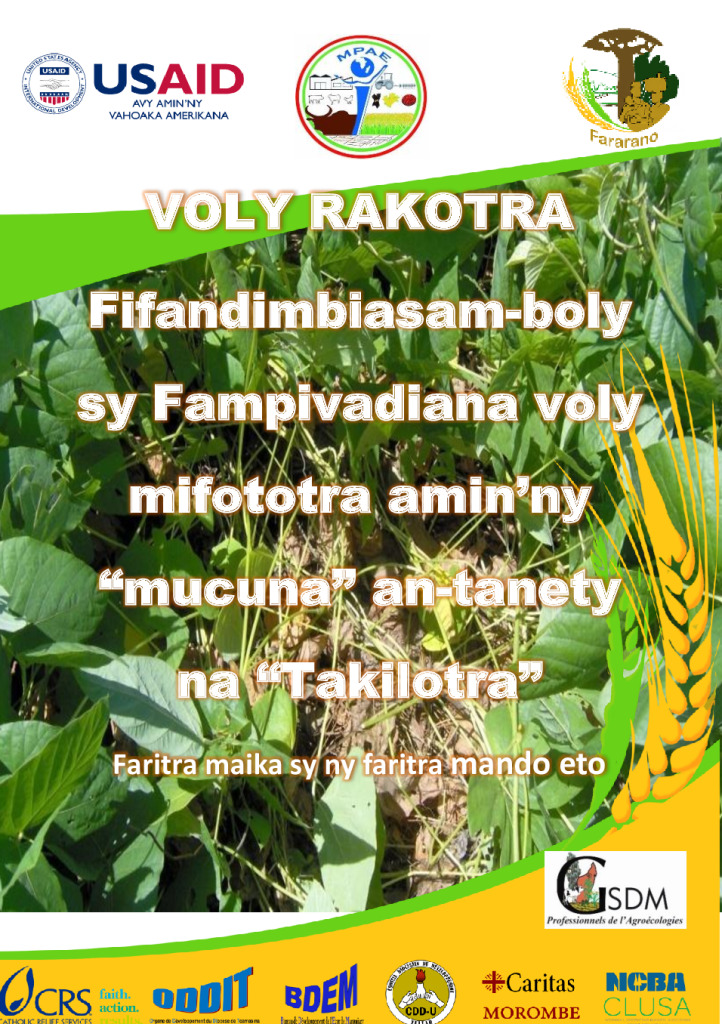 Voly Rakotra fampiasana ny Mucuna na takilotra 12 01 2018