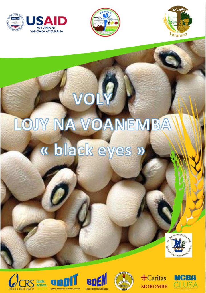 Voly black_eyes Fiche teknika Fararano OK