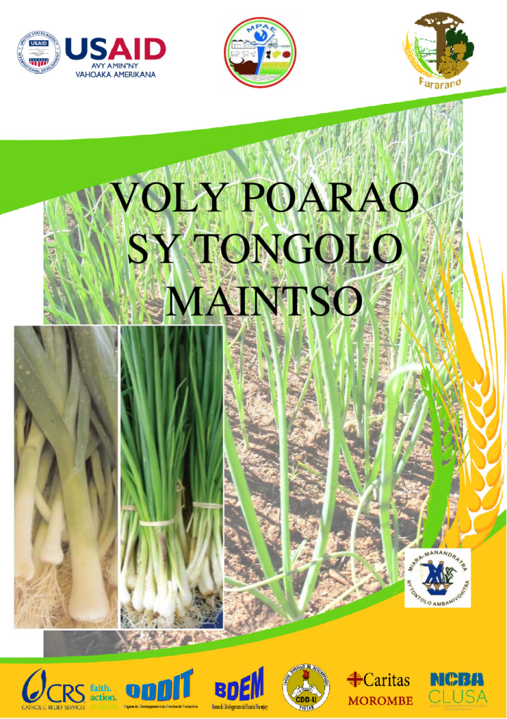 Voly poarao sy tongolo maintso