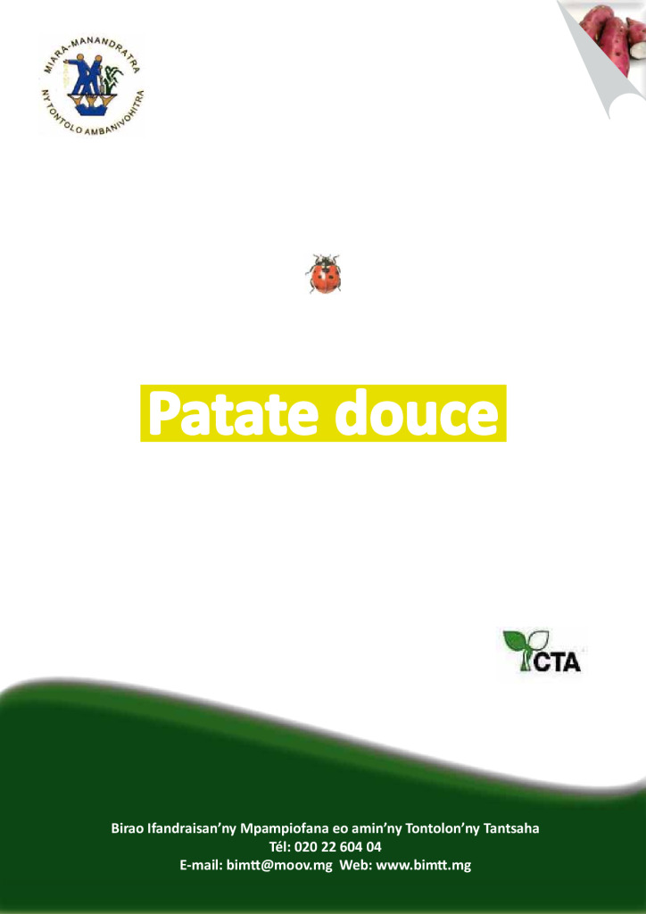 patate_douce