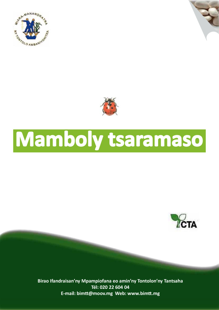 tsaramaso